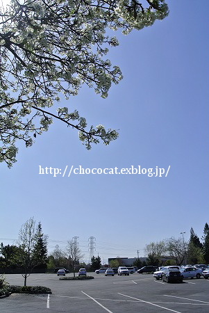 e0128367_10221380.jpg