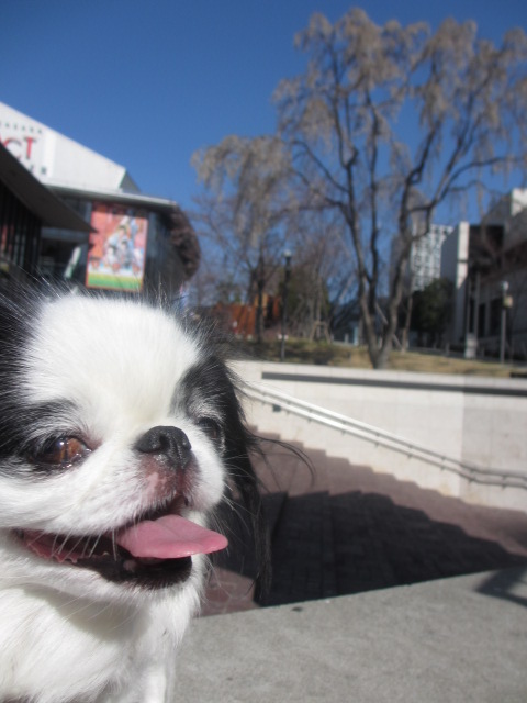f0253568_1535550.jpg