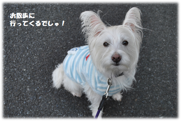 b0242873_0154812.png