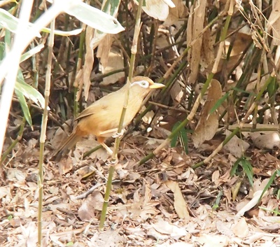 c0000685_6502153.jpg