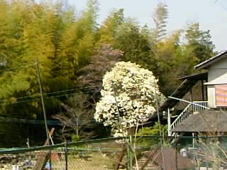c0189894_18341499.jpg