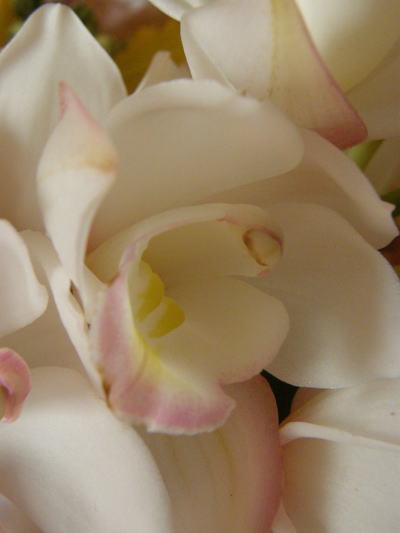 e0017396_20445988.jpg