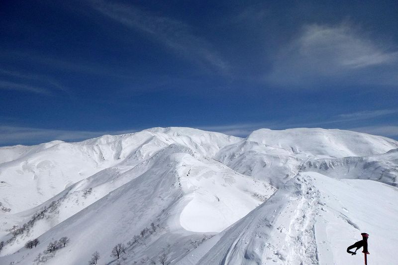 e0137200_11381829.jpg