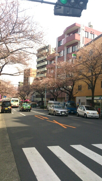 c0202101_1057549.jpg