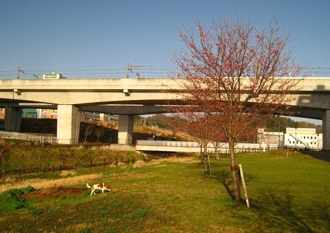 c0084117_2021683.jpg