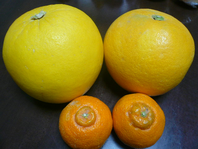e0026017_11273293.jpg
