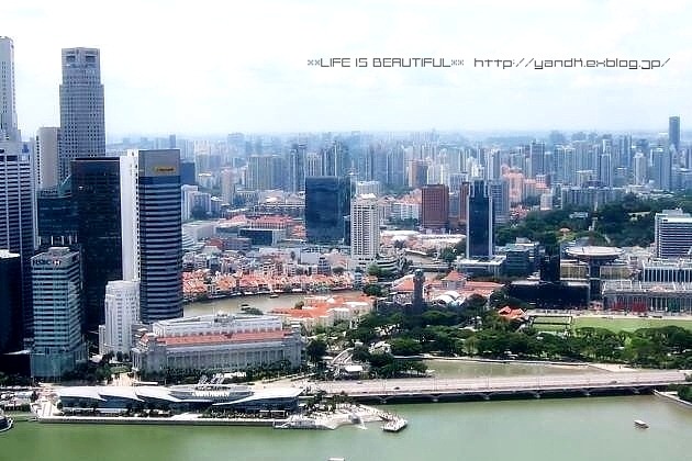 d0083623_1155563.jpg