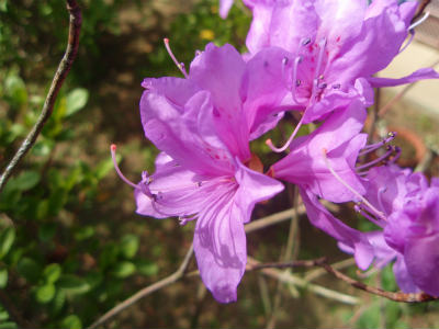 b0008825_15503629.jpg