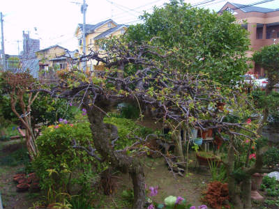 b0008825_15562938.jpg