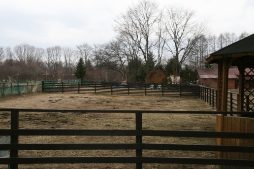 b0174425_1551774.jpg