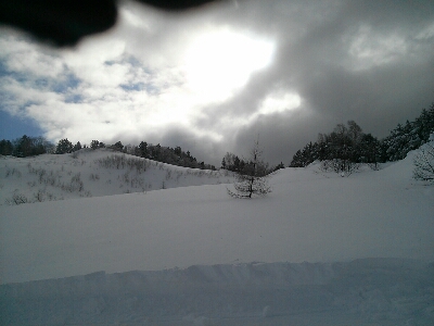 d0023725_1102867.jpg