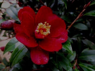 a0098027_17375825.jpg