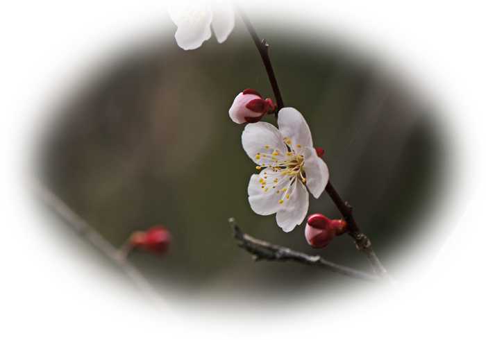 d0029829_13153170.png