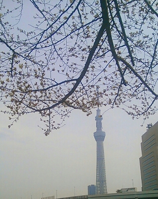 f0186330_21103219.jpg
