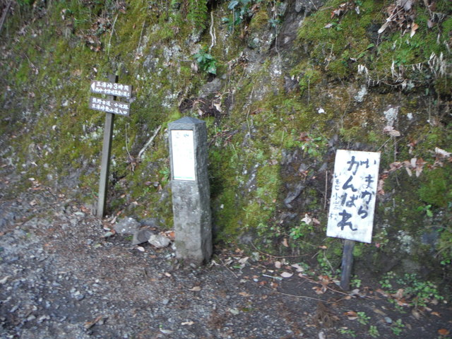 b0136931_0505764.jpg