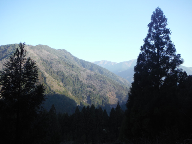 b0136931_0514110.jpg