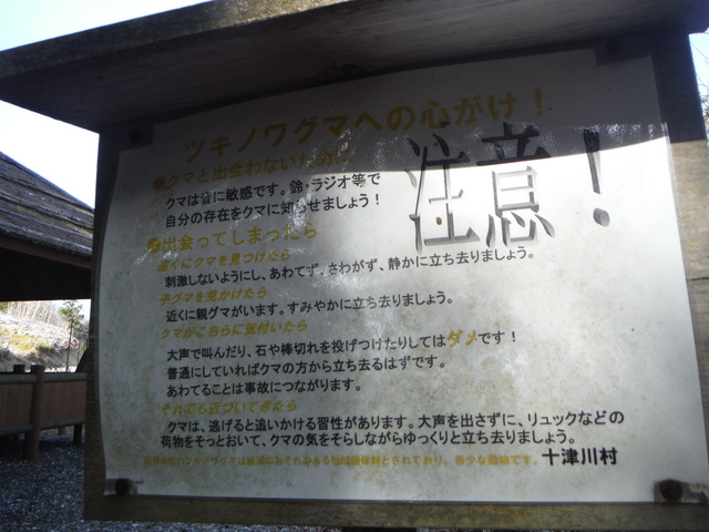 b0136931_0575529.jpg