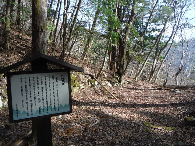b0136931_0591037.jpg