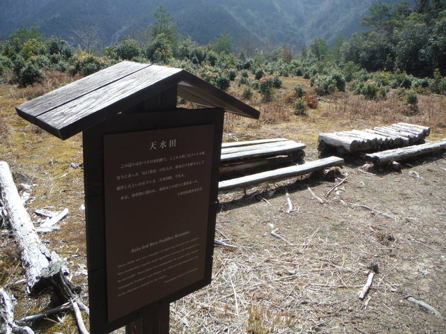 b0136931_1182498.jpg