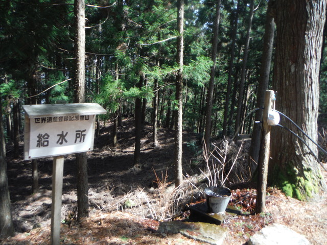 b0136931_1195428.jpg