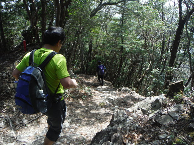 b0136931_1231338.jpg