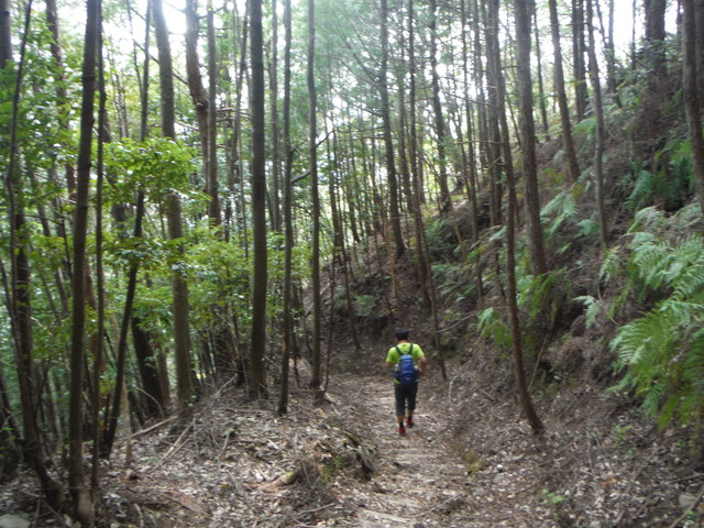 b0136931_1252574.jpg