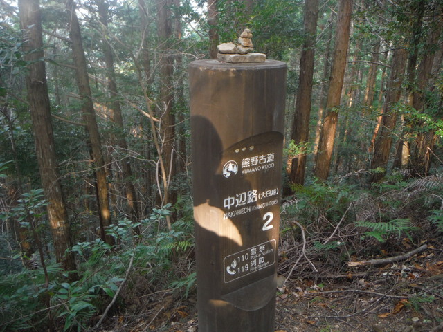 b0136931_13733100.jpg
