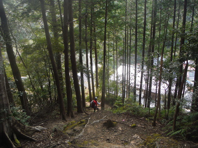 b0136931_1375665.jpg