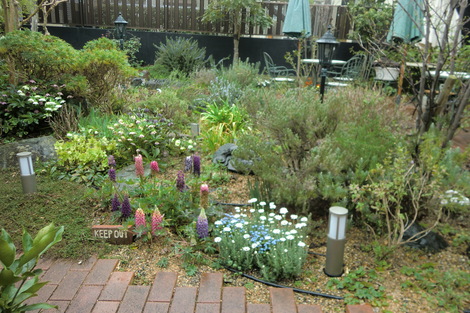 c0236632_23201555.jpg