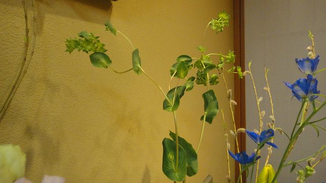 f0208737_8135518.jpg