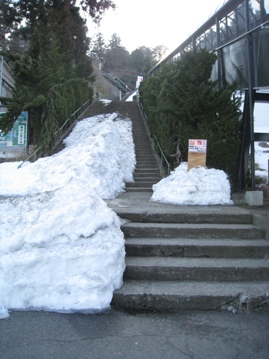 c0077338_8121268.jpg