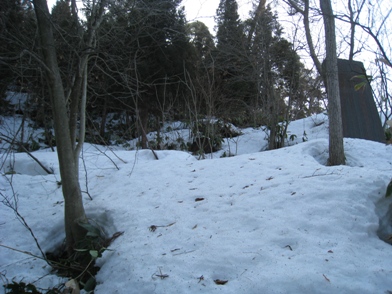 c0077338_8125595.jpg