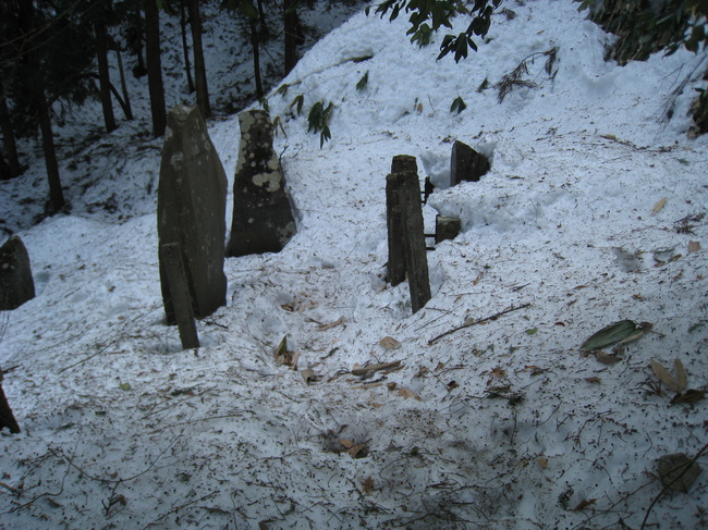 c0077338_8132950.jpg