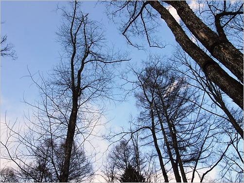 e0022839_3303939.jpg