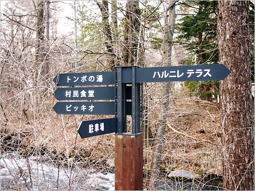 e0022839_33141.jpg