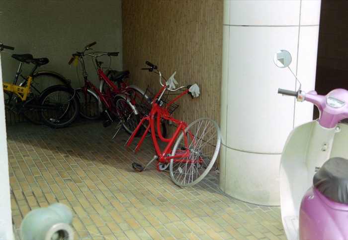 d0089742_23215691.jpg