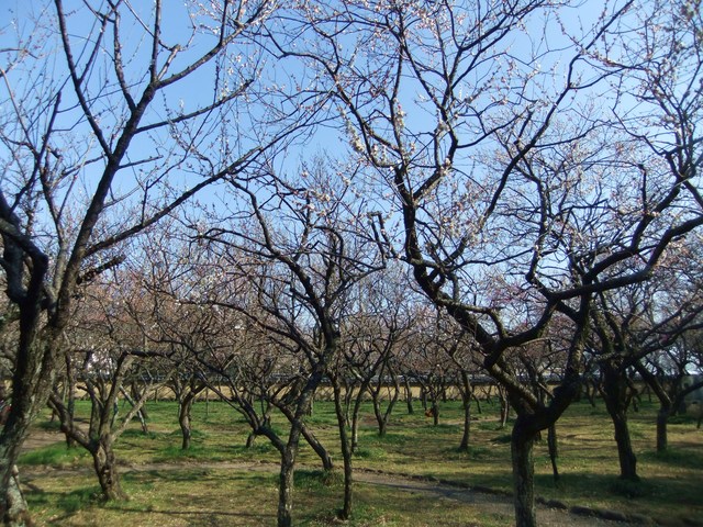 e0206242_11311745.jpg