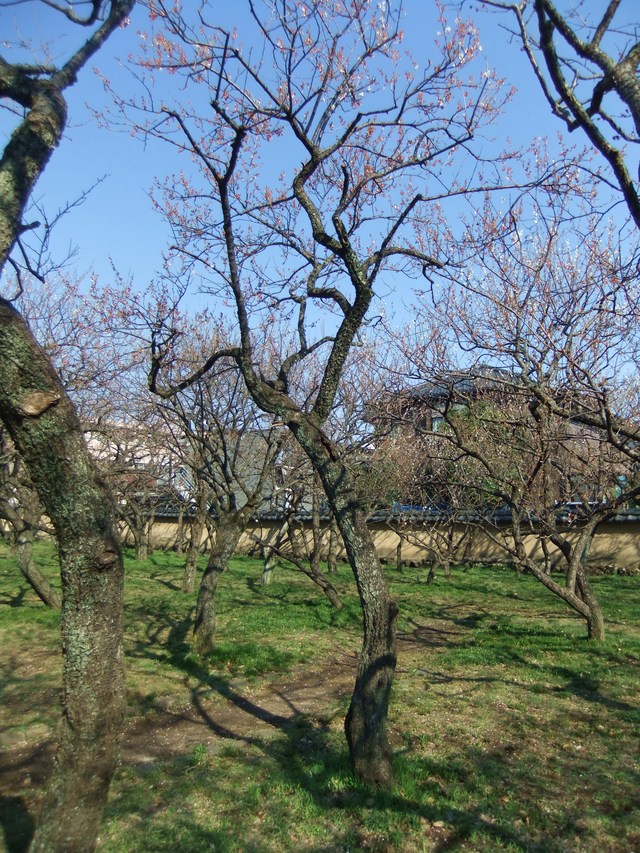e0206242_11313970.jpg