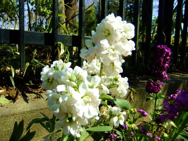 e0206242_11472243.jpg