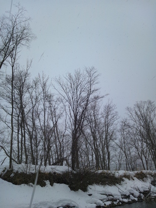a0280243_2213364.jpg