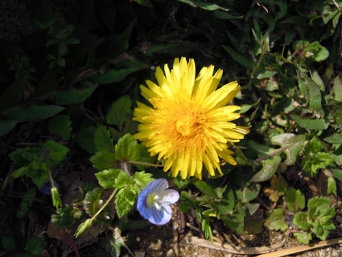 e0034047_1254923.jpg