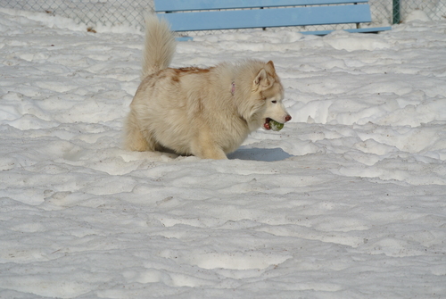 e0121548_21492729.jpg