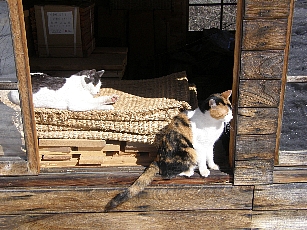 f0035962_9151374.jpg