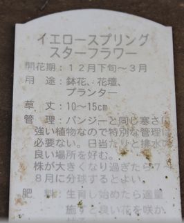 e0232963_135917100.jpg