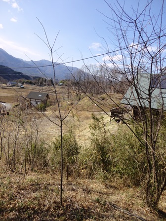d0152765_22583266.jpg