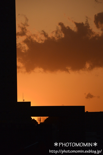a0172271_13310100.jpg
