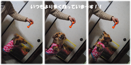 b0242873_10333181.png