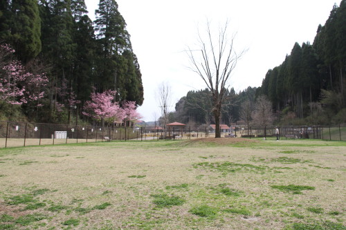 e0114977_2223441.jpg