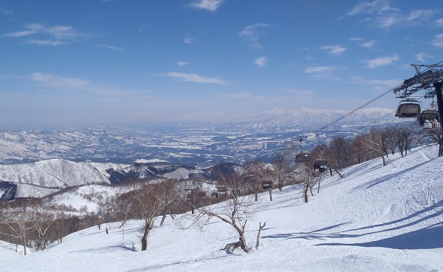 f0230777_8564817.jpg