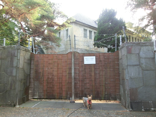 e0123587_20492839.jpg